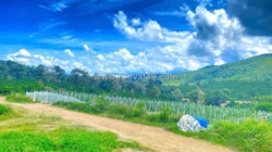 1,3 ha ( 13.000m2 ) mà giá chỉ 3,5 tỷ - phú hội cũ, đức trọng, lâm đồng