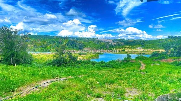 1,3 ha ( 13.000m2 ) mà giá chỉ 3,5 tỷ - phú hội cũ, đức trọng, lâm đồng