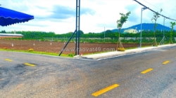 23 lô đất nên, hẻm nhựa khu cư xá, liên hiệp đức trọng cũ, lâm đồng