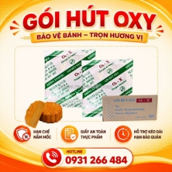 5 cách chống mốc bánh trung thu dẻo hiệu quả