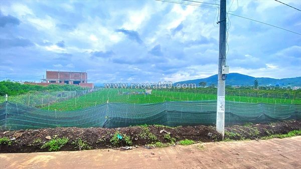 6.500m2 ( đất liên hiệp cu, lâm đồng ) - 2500m2 thổ cư - quy hoạch full hồng