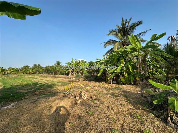 Bán 2 sổ đất tân an, long an cũ