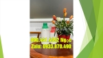 Bán chai thủy tinh 1 lít đựng hóa chất, bình thủy tinh 0.5 lít đựng dầu hôi