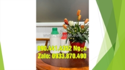Bán chai thủy tinh 1 lít đựng hóa chất, bình thủy tinh 0.5 lít đựng dầu hôi
