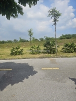 Bán nhanh lô đất 60m² giá tốt – khu đô thị phía tây cầu phú lương