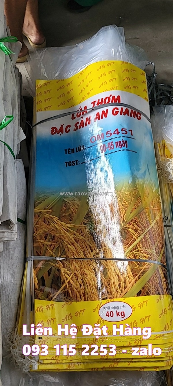 ~/Img/2026/6/bao-bi-dung-lua-giong-40kg-hang-co-san-so-luong-lon-tai-kho-01.jpg