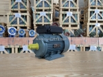 Báo giá động cơ điện đủ công suất từ 0.37kw - 160kw tại thành thái motor