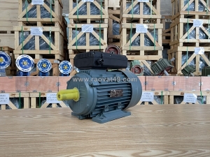 Báo giá động cơ điện đủ công suất từ 0.37kw - 160kw tại thành thái motor