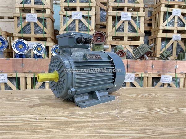 Báo giá động cơ điện đủ công suất từ 0.37kw - 160kw tại thành thái motor