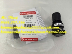 Bình dương - van điều chỉnh norgren r07-100-rnka