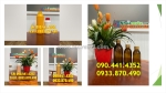 Bình nhựa 1 lít đựng hóa chất chống uv, chai nhựa 0.5 lít đựng hóa chất sinh khí