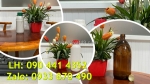 Bình thủy tinh 250ml đựng dầu mỡ, chai thủy tinh 500ml đựng nước muối sinh lý, chai thủy tinh 1 lít đựng nước cất