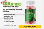 Bliss harmony 300mg cbd gummies honest review