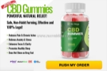 Bliss harmony cbd gummies honest review – sleep & wellness