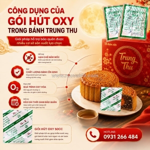 Cách hạn chế bánh trung thu bị mốc – kinh nghiệm từ nhiều cơ sở sản xuất