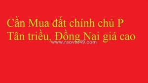 Cần mua đất chính chủ p tân triều, đồng nai giá cao