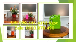 Can nhựa 1 lít đựng dược phẩm, can nhựa 2 lít đựng kiềm, can 5 lít vuông đựng chất khí