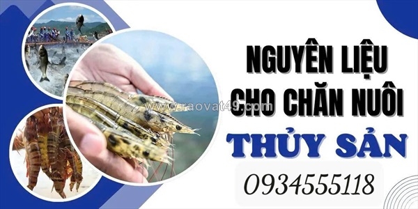 ~/Img/2026/6/cao-duoc-lieu-nguyen-lieu-gia-tot-cho-nguoi-chan-nuoi-thuy-san-01.jpg