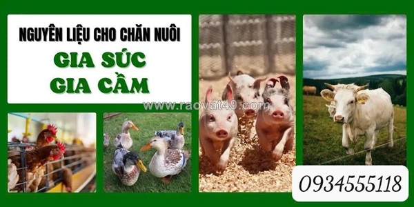 ~/Img/2026/6/cao-duoc-lieu-nguyen-lieu-gia-tot-cho-nguoi-chan-nuoi-thuy-san-02.jpg
