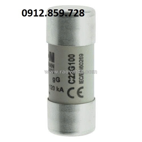 ~/Img/2026/6/cau-chi-100a-500v-model-c22g100-01.jpg