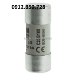 Cầu chì 100a 500v, model c22g100