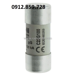 Cầu chì 100a 500v, model c22g100