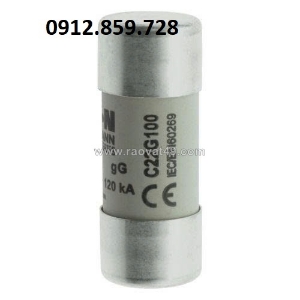 Cầu chì 100a 500v, model c22g100