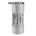 Cầu chì 100a 700v, model fwp-100a22f