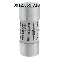 Cầu chì 100a 700v, model fwp-100a22f