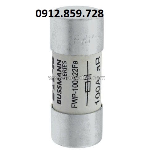 Cầu chì 100a 700v, model fwp-100a22f
