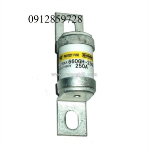 Cầu chì 250a 660v, model: 660gh-250ultc