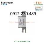 Cầu chì bussmann 170m1308 dual indication