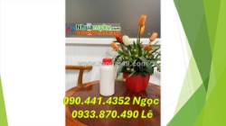 Chai lọ 50ml xịt khoáng, chai thủy tinh 100ml đựng chất phụ trợ