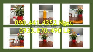 Chai nhựa 500ml đựng tinh dầu dưỡng tóc, chai thủy tinh 250ml đựng tinh chất dưỡng da organic