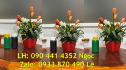 Chai thủy tinh 500ml màu vàng, chai đựng hóa chất thủy tinh 250ml