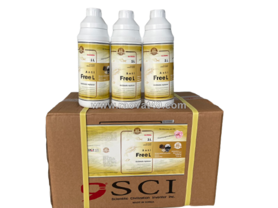Chất thay thế kháng sinh anti free, phòng bệnh tối ưu cho vật nuôi