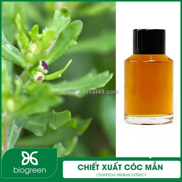 ~/Img/2026/6/chiet-xuat-coc-man-nguyen-lieu-my-pham-thien-nhien-01.jpg