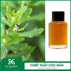 Chiết xuất cóc mẳn - nguyên liệu mỹ phẩm thiên nhiên