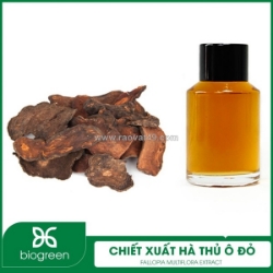 Chiết xuất hà thủ ô - nguyên liệu mỹ phẩm chống oxy hóa, ngăn ngừa lão hóa da