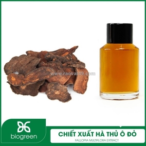 Chiết xuất hà thủ ô - nguyên liệu mỹ phẩm chống oxy hóa, ngăn ngừa lão hóa da