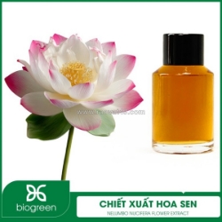 Chiết xuất hoa sen - nguyên liệu mỹ phẩm thiên nhiên