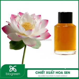 Chiết xuất hoa sen - nguyên liệu mỹ phẩm thiên nhiên