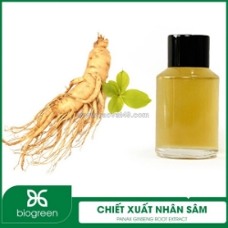 Chiết xuất nhân sâm - nguyên liệu mỹ phẩm thiên nhiên
