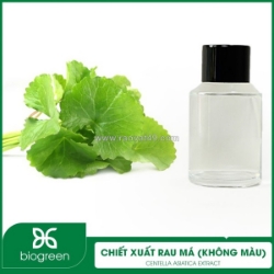 Chiết xuất rau má không màu - nguyên liệu mỹ phẩm thiên nhiên