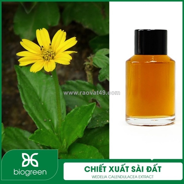 ~/Img/2026/6/chiet-xuat-sai-dat-nguyen-lieu-my-pham-thien-nhien-01.jpg