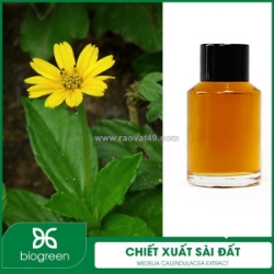 Chiết xuất sài đất - nguyên liệu mỹ phẩm thiên nhiên
