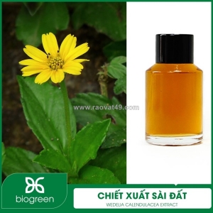 Chiết xuất sài đất - nguyên liệu mỹ phẩm thiên nhiên