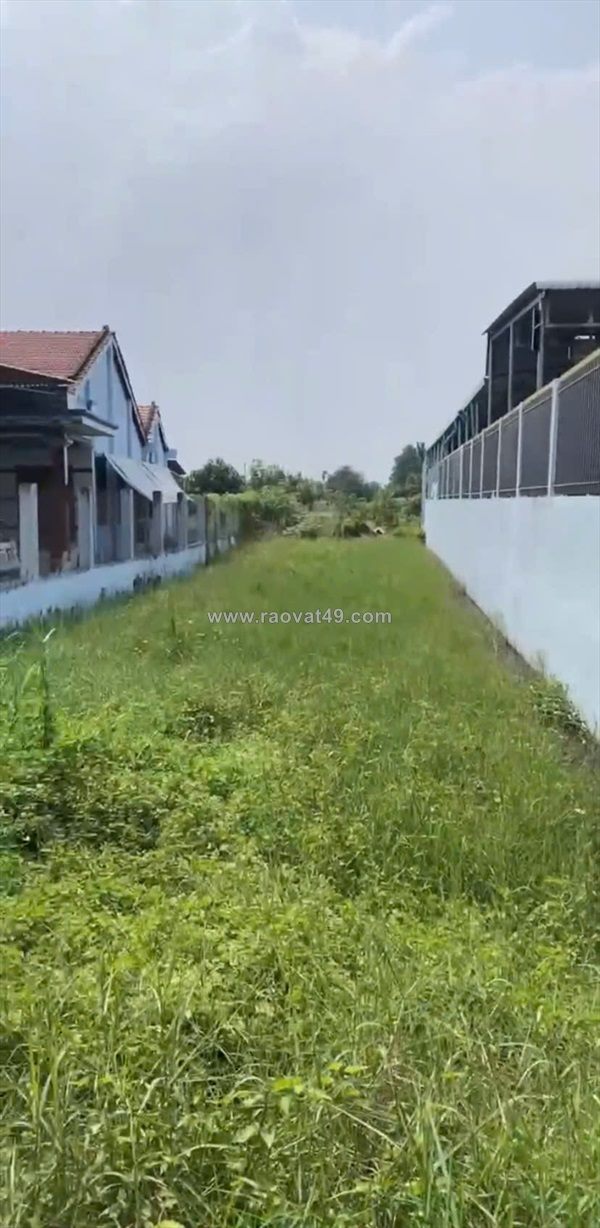 Chính chủ bán 1000m2 đất tại ấp 5, tân hòa, huyện bến lức, long an