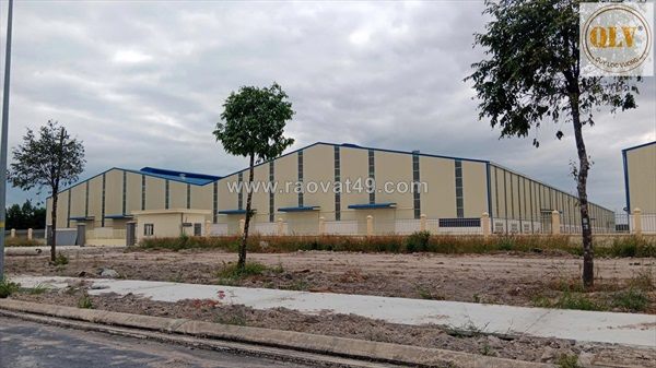 Cho thuê cụm nhà xưởng sản xuất kcn hòa phú, vĩnh long, 55.000m²