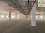 Cho thuê nhà xưởng cao tầng kcx linh trung i – thủ đức, tp.hcm – 20.800m²